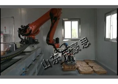 全自动纸袋码垛机器人视频 码垛机械手设备报价