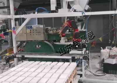 山东智能码垛机械手 空心砖全自动码垛机