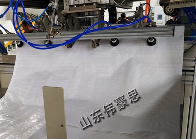 袋料全自动包装码垛线是当前行业比较流行的生产线