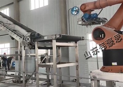 河北机器人拆垛拆包机 PE粉自动拆垛机械手