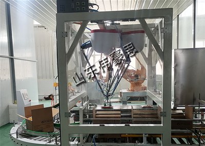 300g面片自动装箱码垛线解决了企业装箱码垛的难题
