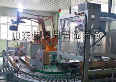 500g白糖自动装箱机器人 纸箱机械手码垛机配套现场