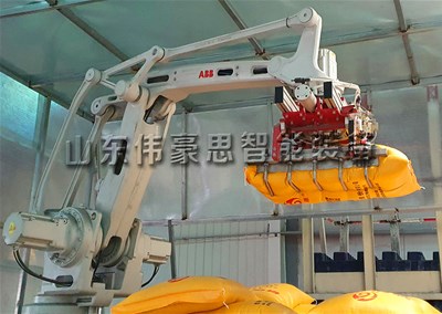 50KGPE袋全自动码垛线 硫酸铜自动码垛机器人视频