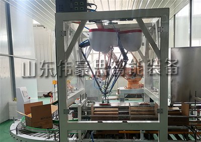 白砂糖全自动装箱机 配套码垛机器人工作案例